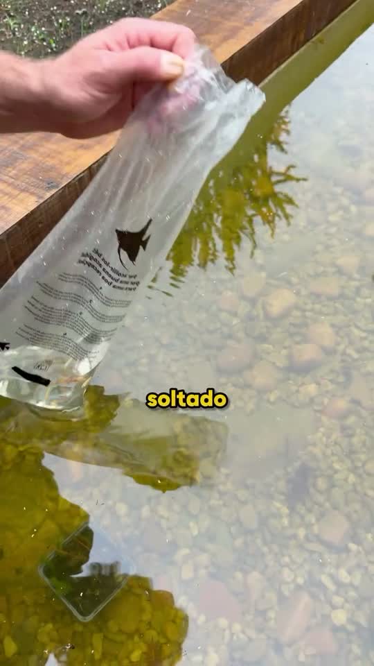 Sesión de trabajo con cliente